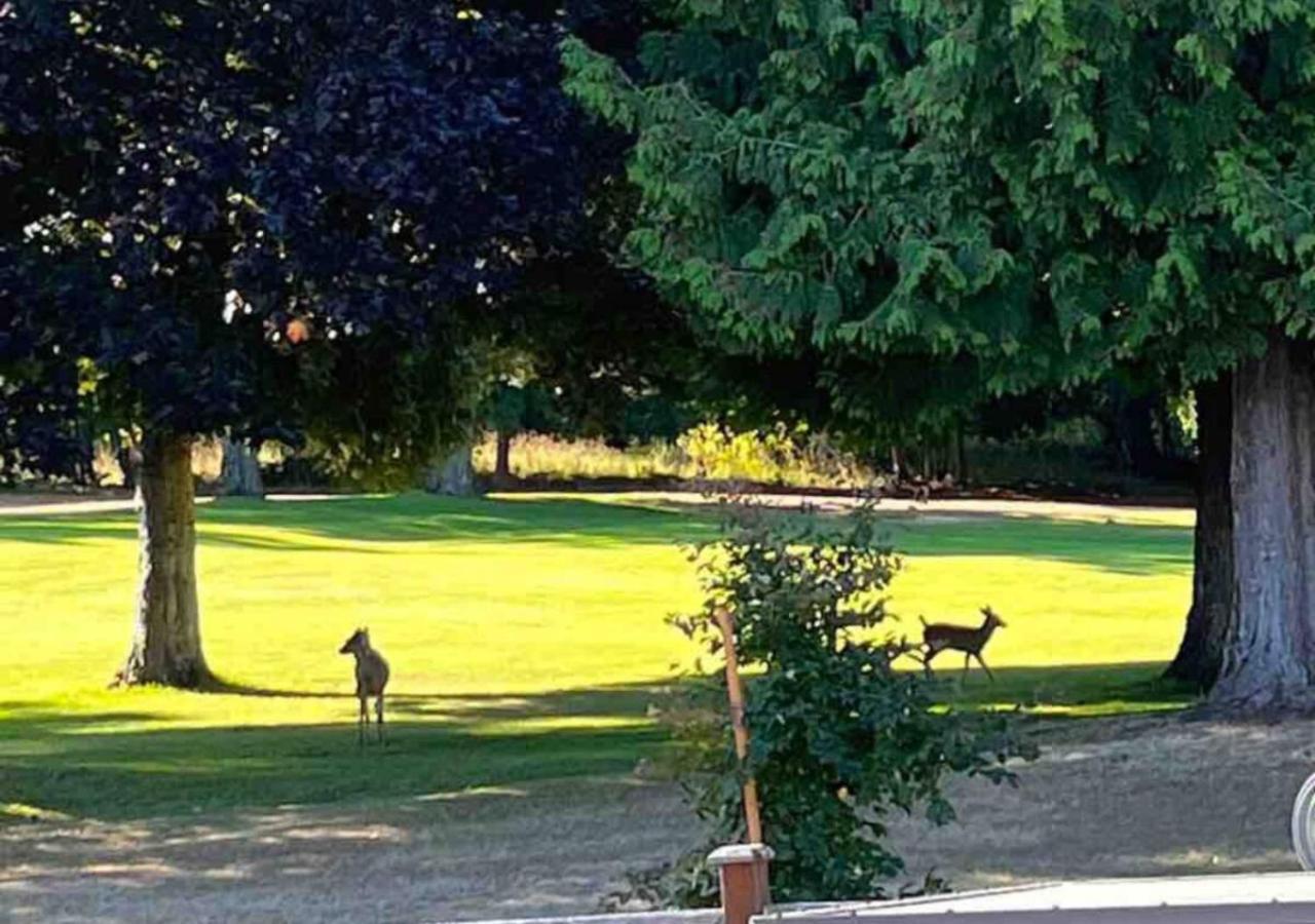 Bed and Breakfast Oceanside Manor - Golf Course View Qualicum Beach Exterior foto